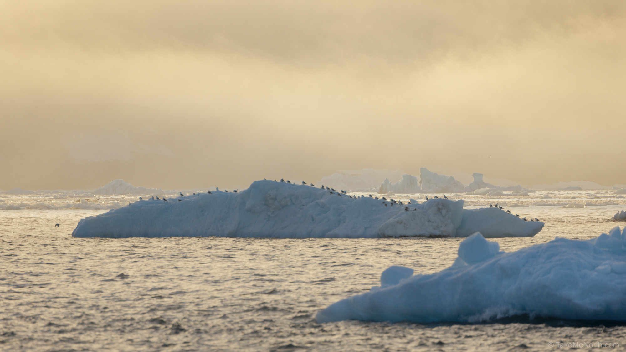 Navigating through the icebergs of Hinloopenstretet can be challenging, even in summer